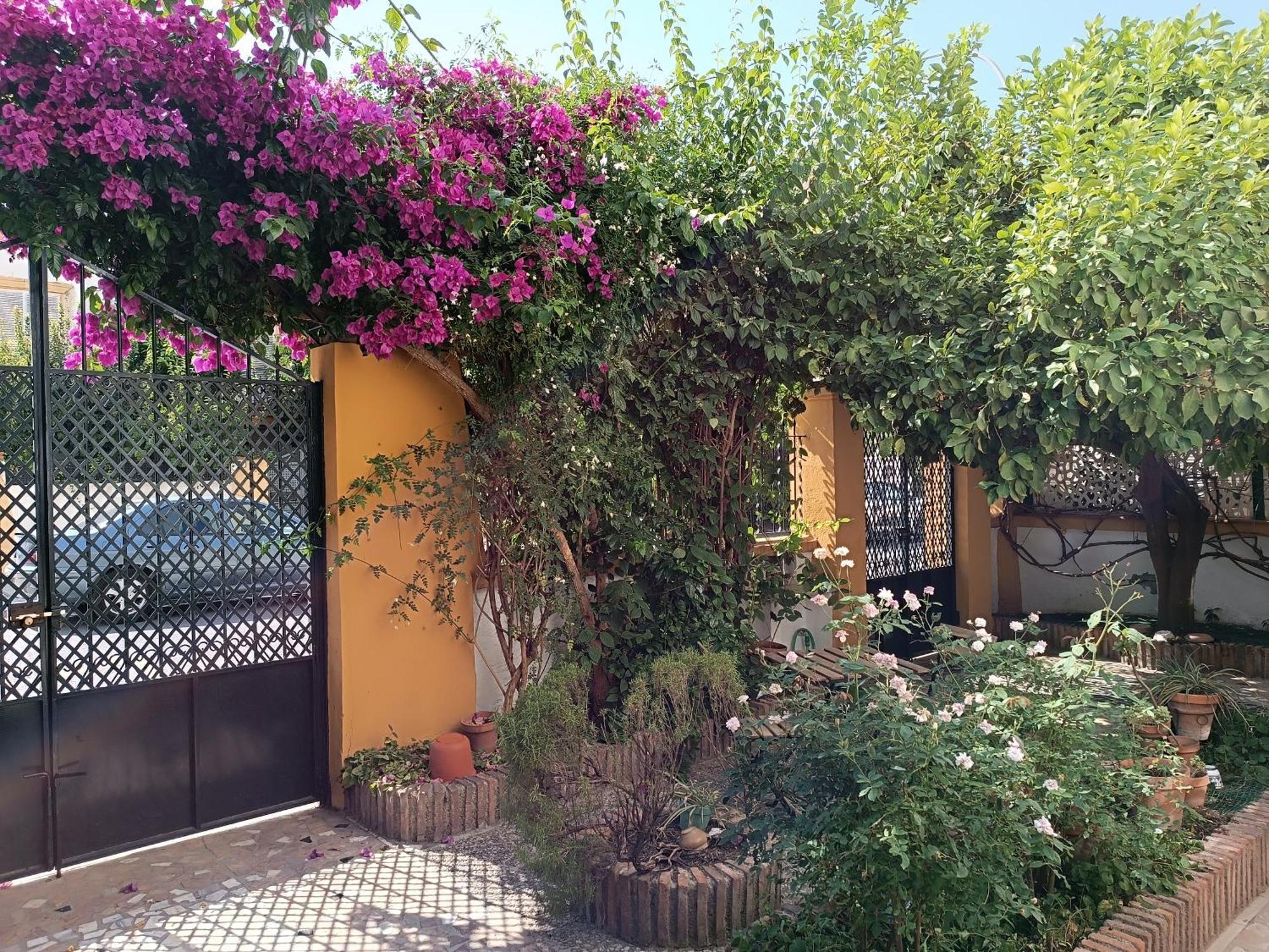 Casa Limonero Con Parking Gratis Junto A Centro Historico, Granada